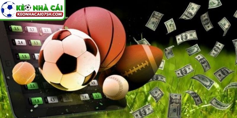 Bỏ theo dõi dài hạn khiến giá xu hướng sai